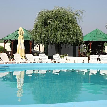Hotel Rodiv Gaesti Екстер'єр фото